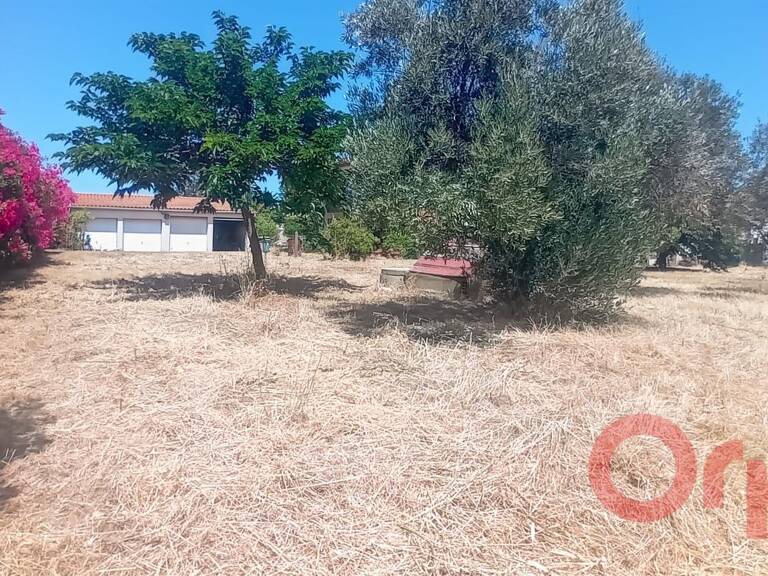 À Vendre : Terrain constructible dans un environnement privilégié à Sauvian — photo 1