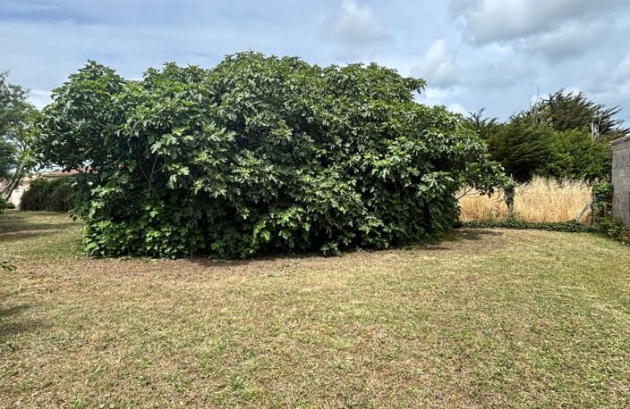 Beau terrain à bâtir plat et arboré, proche commodités — photo 3