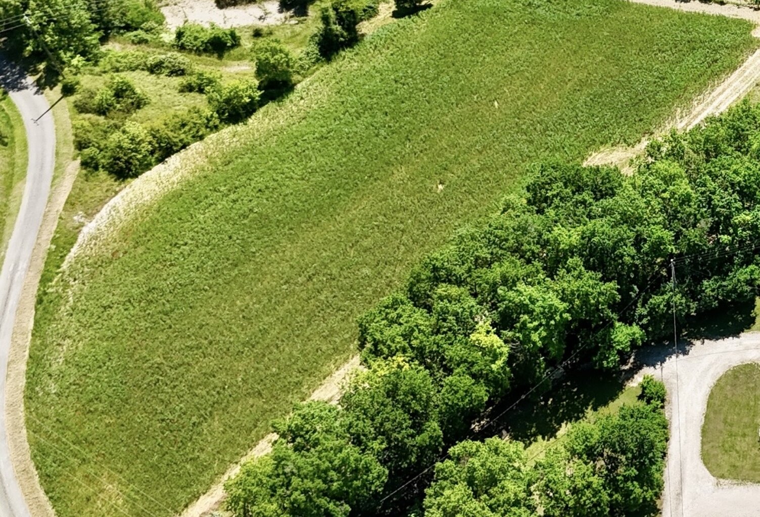 Vente Terrain 5 000 m&sup2; — photo 1