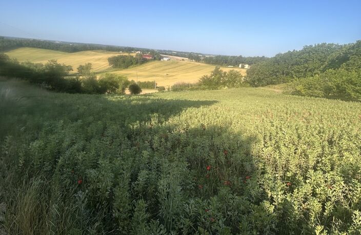 Vente Terrain 5 000 m&sup2; — photo 2