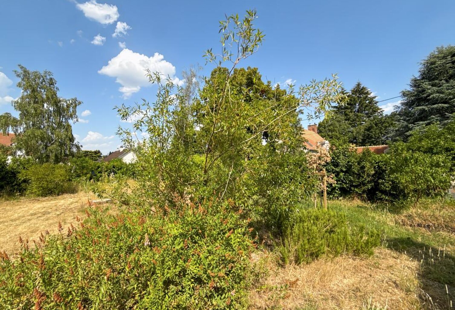 Opportunité rare : 387 m² constructibles proche du centre-ville d'Olivet — photo 1
