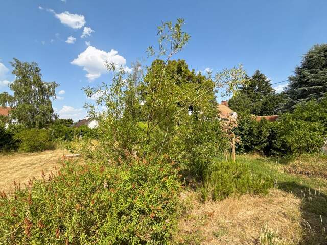 Opportunité rare : 387 m² constructibles proche du centre-ville d'Olivet — photo du bien