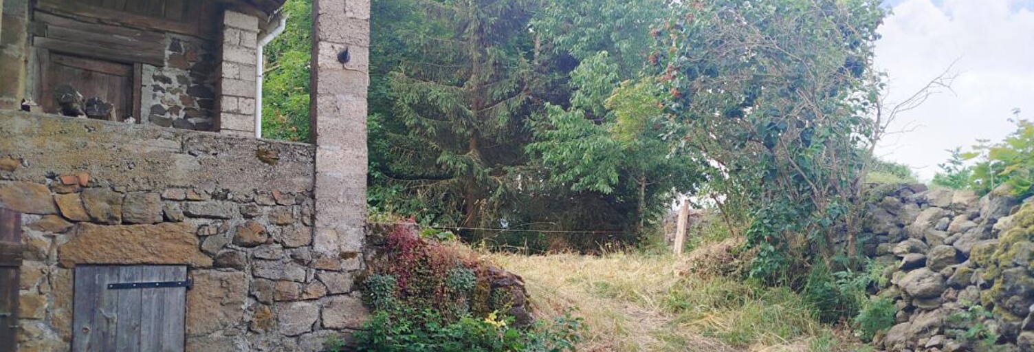 Maison 2 Pièces 59 m² à vendre à Saint-Paul-de-Tartas (43420)