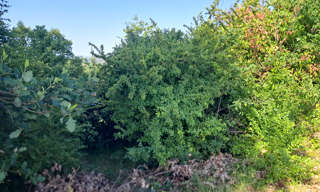Terrain  2500 m² à vendre à Auch (32000)