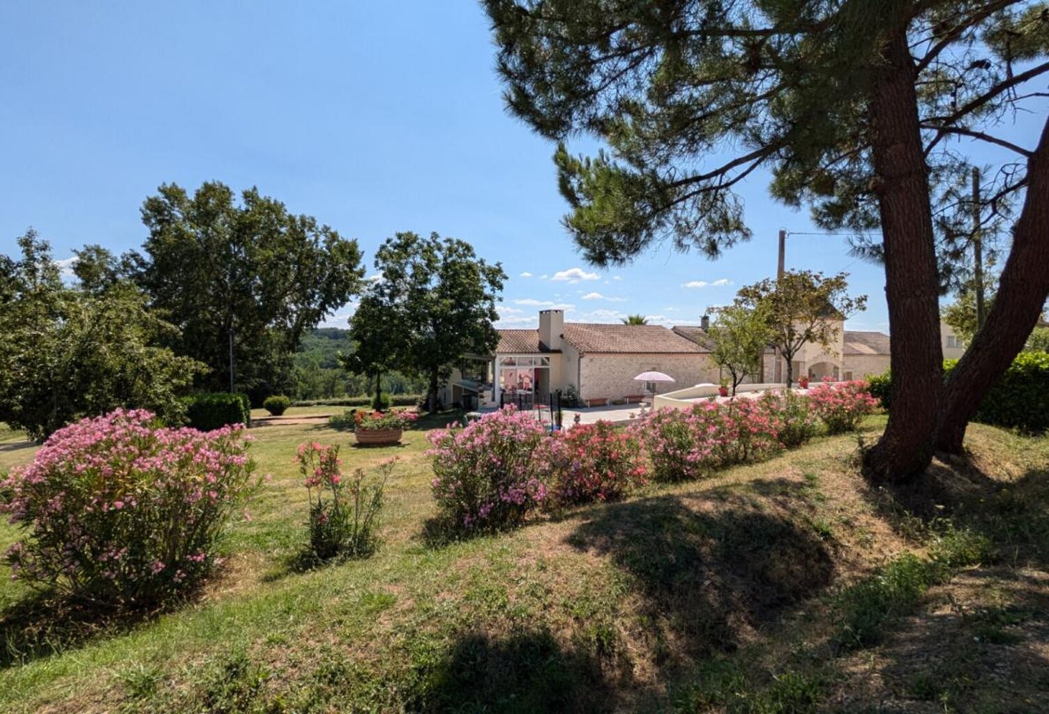 Maison de 350m² avec piscine et dépendances sur 2ha — photo 1