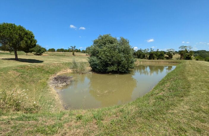 Maison de 350m² avec piscine et dépendances sur 2ha — photo 4