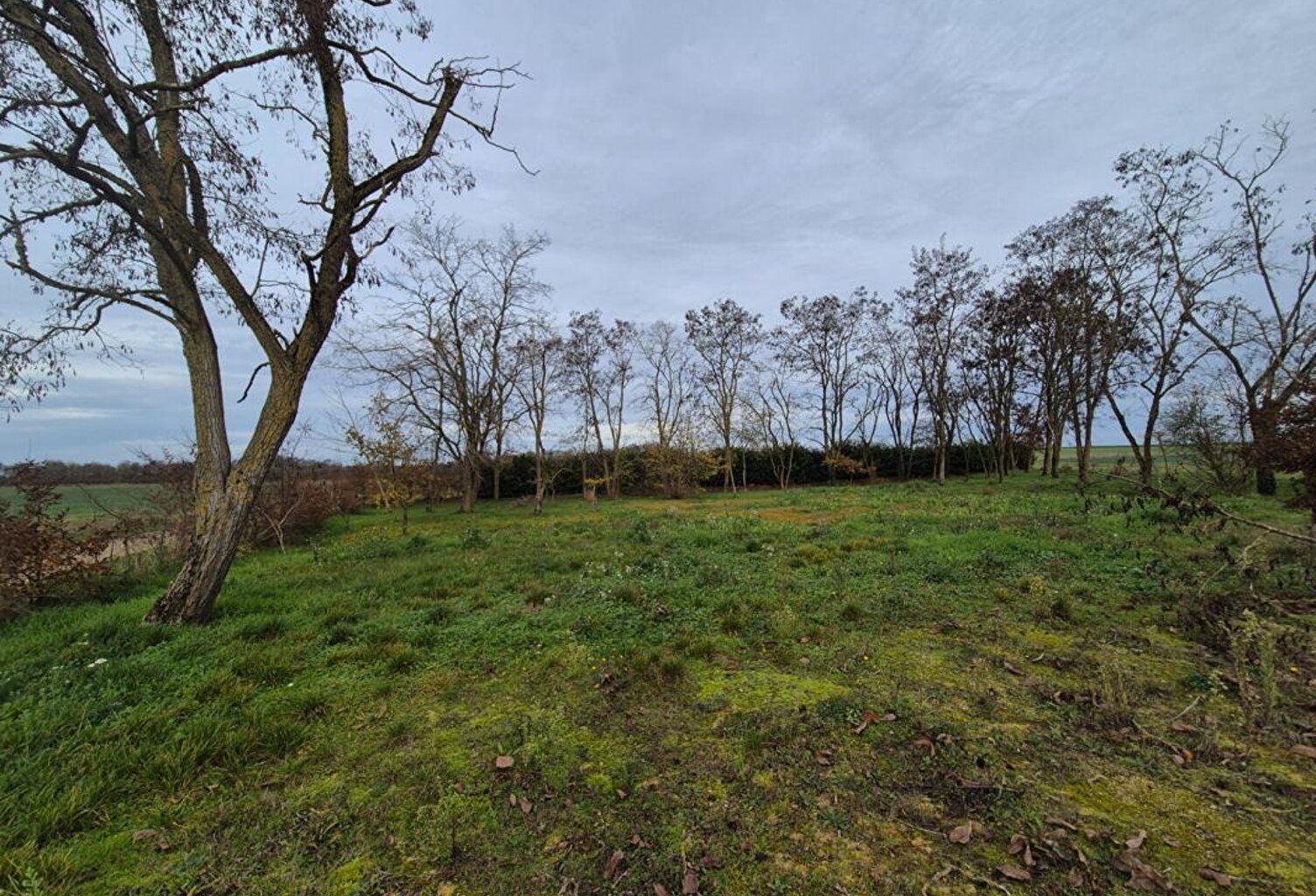 Terrain La Chapelle Saint Martin En Plaine — photo 1