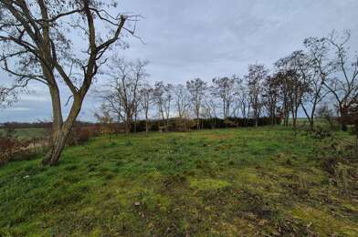 Terrain  39000 €
