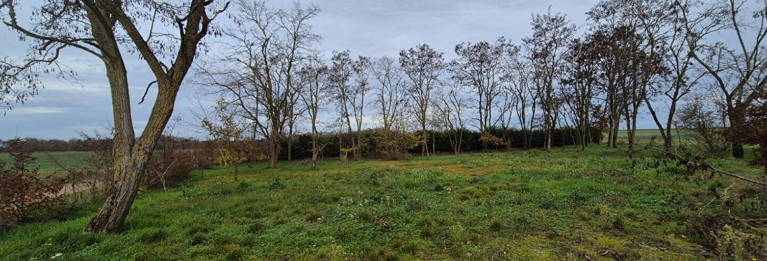 Terrain  1500 m² à vendre à La Chapelle-Saint-Martin-en-Plaine (41500)