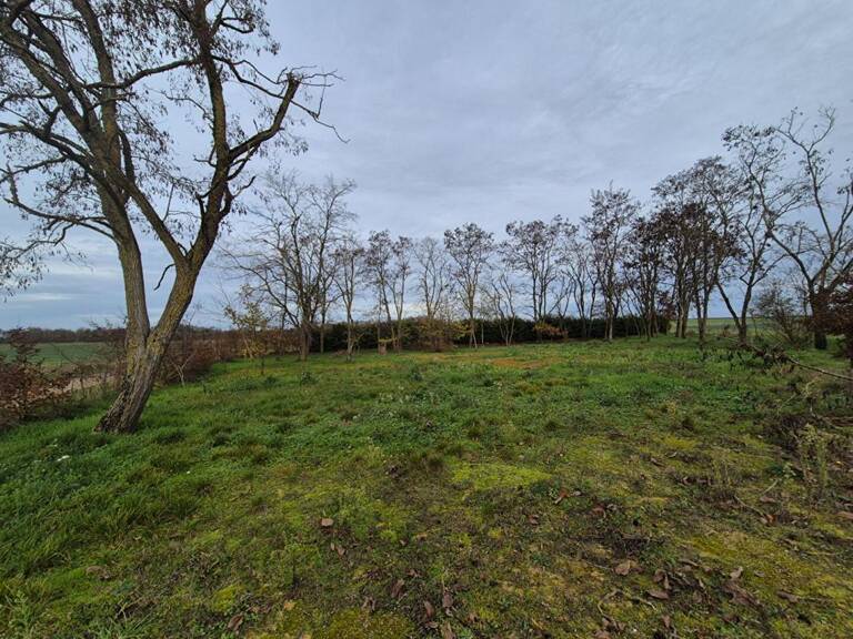 Terrain La Chapelle Saint Martin En Plaine — photo 1