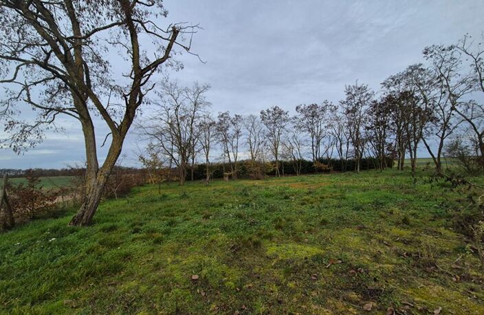 Terrain La Chapelle Saint Martin En Plaine — photo 2