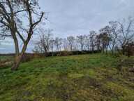 Terrain La Chapelle Saint Martin En Plaine — photo 3
