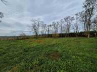 Terrain La Chapelle Saint Martin En Plaine — photo 4