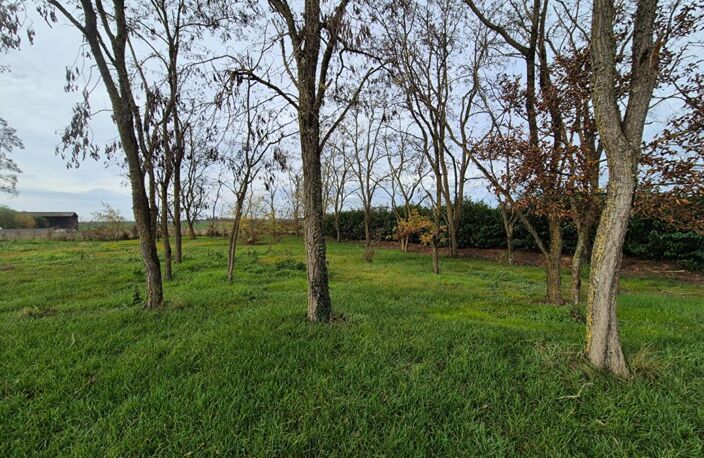 Terrain La Chapelle Saint Martin En Plaine — photo 5