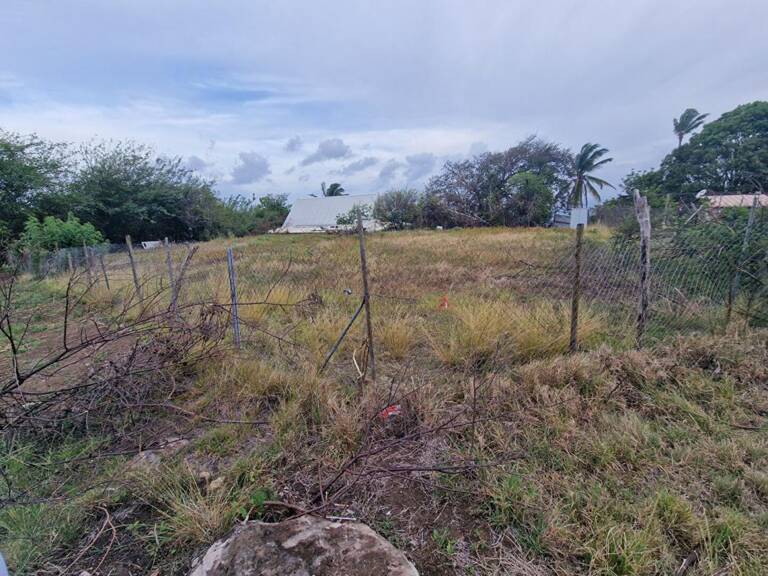 Terrain Case Pilote 1000 m2 quartier Micolo — photo 1
