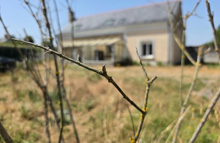 Maison de campagne, 4 chambres, terrain et grand hangar — photo 2