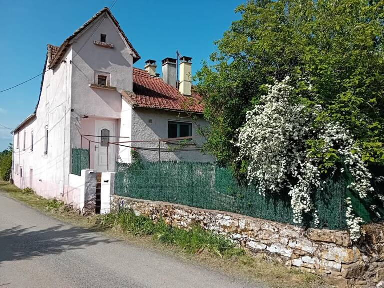 Immeuble 9 pièces  2 maisons — photo 1