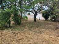 Vente Terrain à bâtir 1 229 m&sup2; — photo 3
