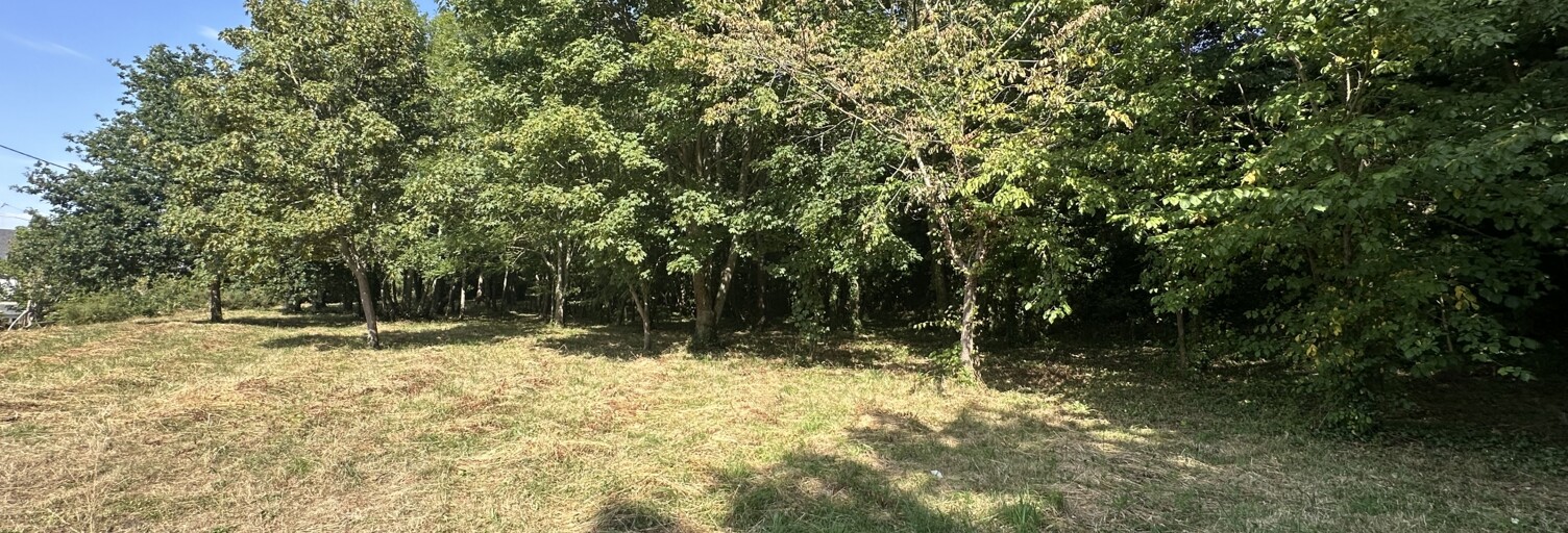 Terrain  3917 m² à vendre à Granville (50400)