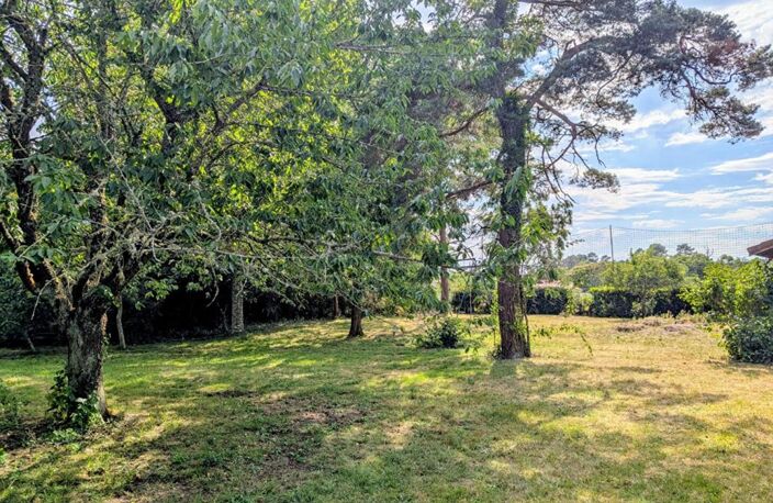 Maison Saugnac Et Muret 7 pièce(s) 222 m2 — photo 4