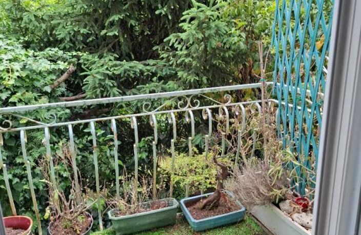 LE BOUSCAT ? BARRIÈRE DU MÉDOC -  Le potentiel rare d'une adresse d'exception — photo 3