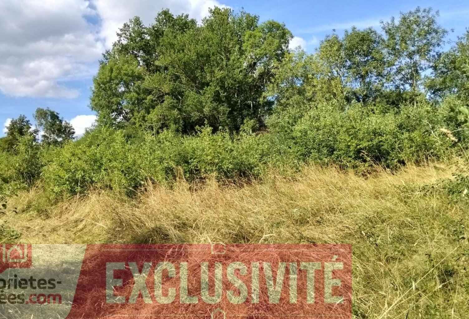 Terrain Lanteuil 2571 m2 — photo 1
