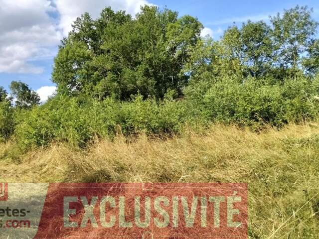 Terrain Lanteuil 2571 m2 — photo du bien