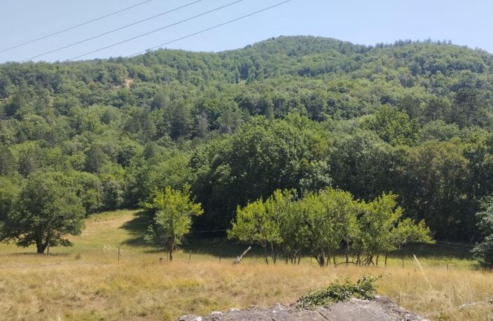 Rare ! propriété coup de coeur ! — photo 4