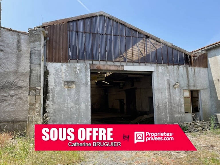 Ensemble immobilier plein centre à rénover Saint Sauveur D Aunis 409 m2 — photo 1