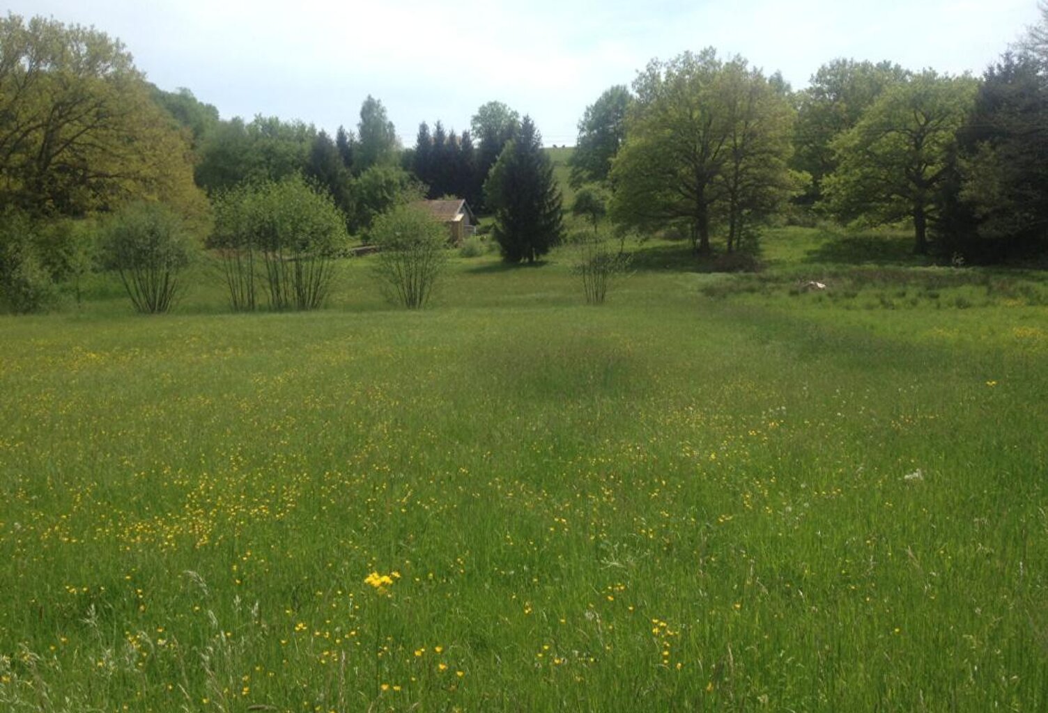 Terrain Phaffans — photo 1