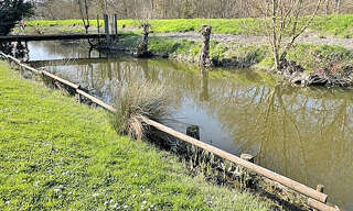 Photo N° 2