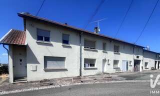 Maison 11 Pièces 700 m² à vendre à Insming (57670)