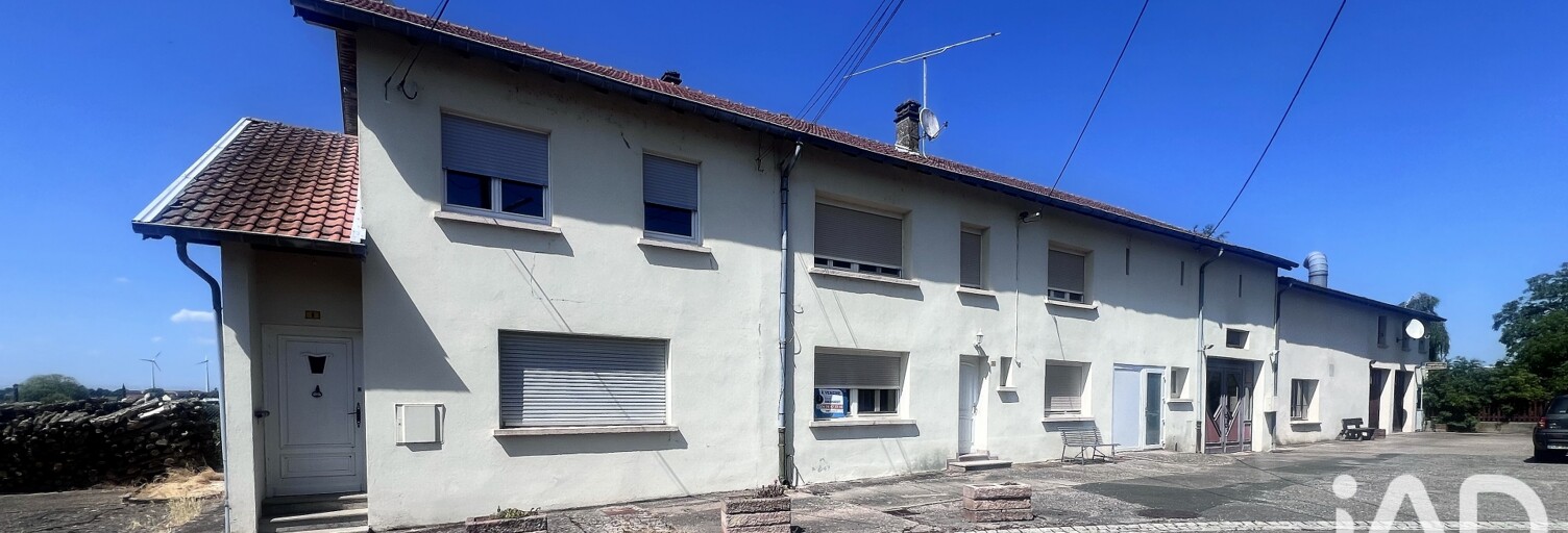Maison 11 Pièces 700 m² à vendre à Insming (57670)