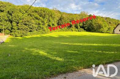 Terrain  49000 €