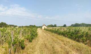 Terrain  31300 m² à vendre à Sainte-Eulalie (33560)