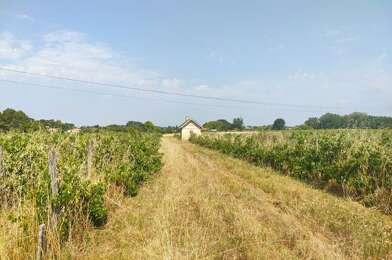 Terrain  60000 €