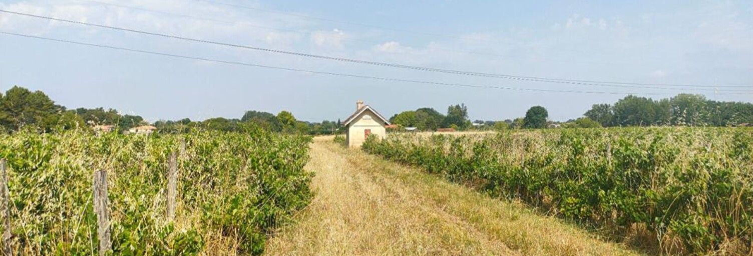 Terrain  31300 m² à vendre à Sainte-Eulalie (33560)