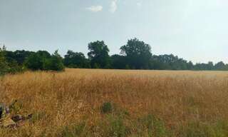 Terrain  56000 m² à vendre à Sainte-Eulalie (33560)