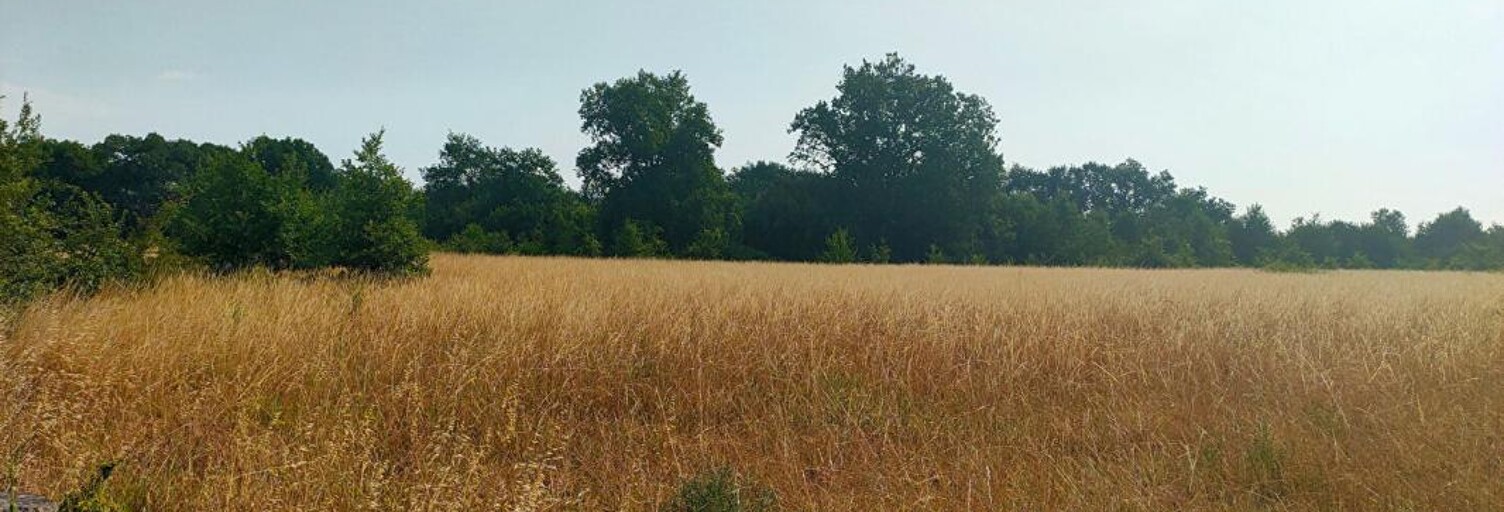 Terrain  56000 m² à vendre à Sainte-Eulalie (33560)