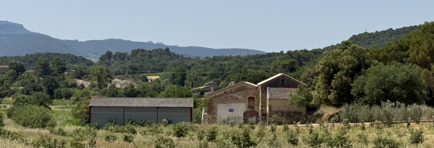 Photo N° 2