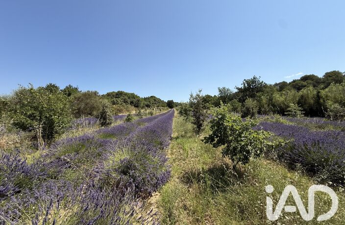 Vente Domaine 6 pièces — photo 2