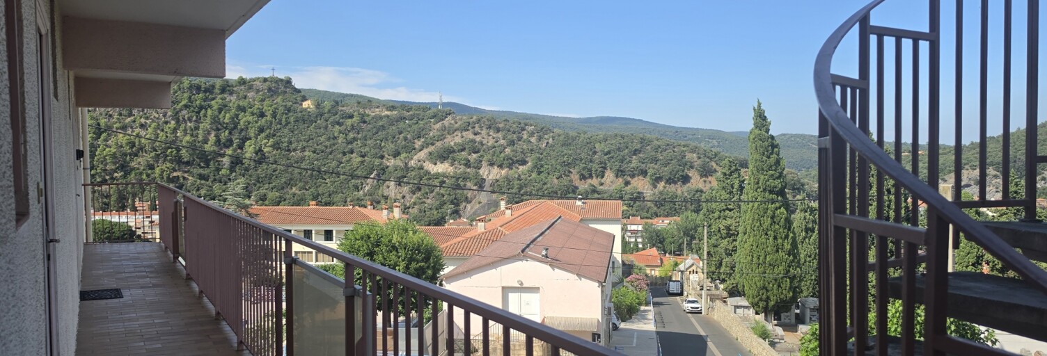 Appartement 1 Pièce 25 m² à vendre à Amélie-les-Bains-Palalda (66110)