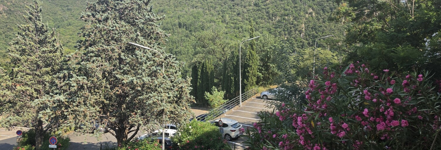 Photo N° 2