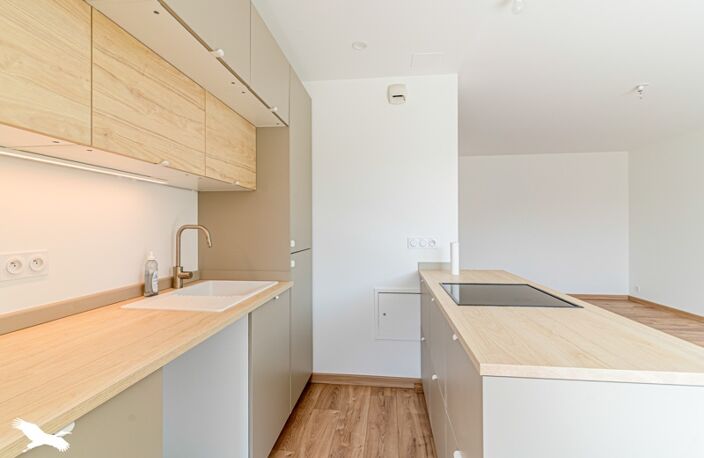 Appartement de 3 pièces principales — photo 3