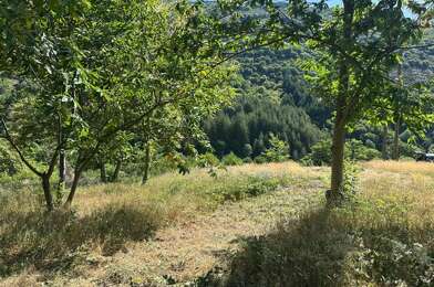 Terrain  85000 €