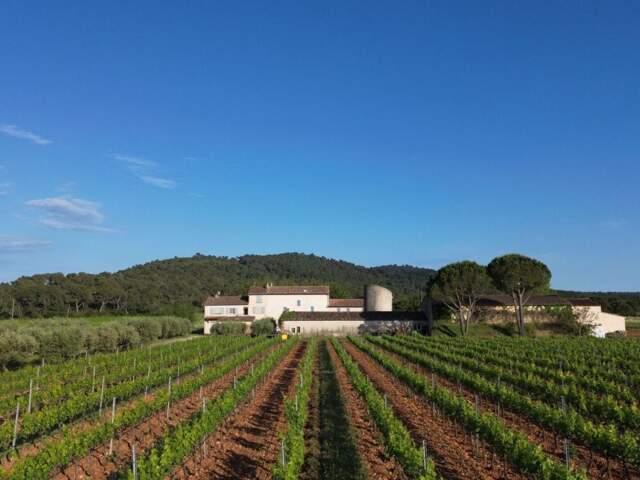 Domaine viticole d'exception de 25 ha en Provence Méditerranéenne — photo du bien