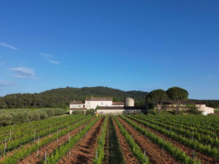 Domaine viticole d'exception de 25 ha en Provence Méditerranéenne — photo 1