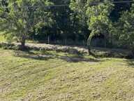Terrain à bâtir de 0 pièces principales — photo 2