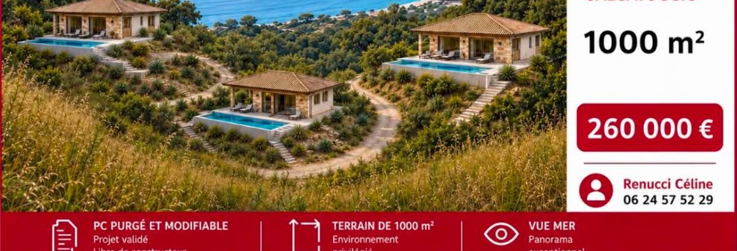 Terrain  1028 m² à vendre à Calcatoggio (20111)