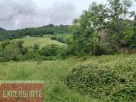 Lanteuil. Grange en pierres avec vue dégagée et plus de 2600 m2 de terrain — photo 3
